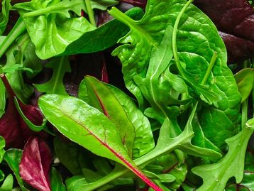 Alimentação rica em plantas diminui risco de doenças do coração