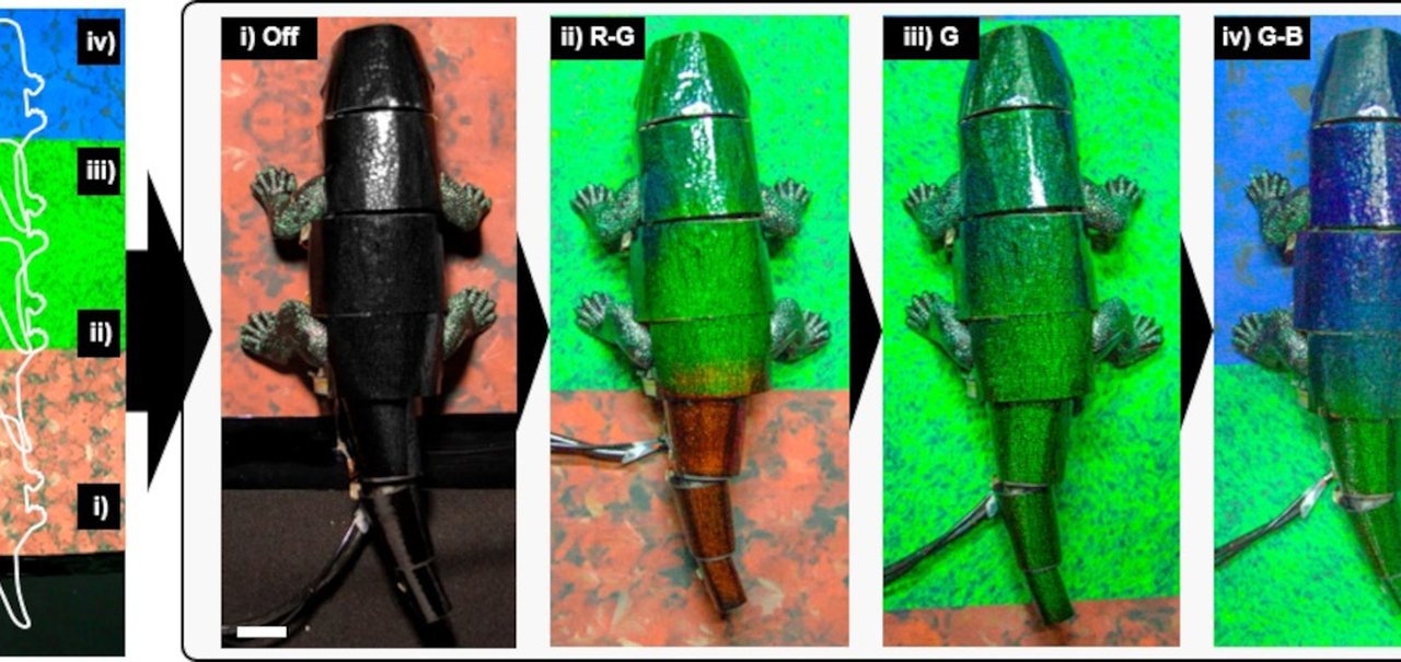 Cientistas desenvolvem robô que se camufla como o camaleão