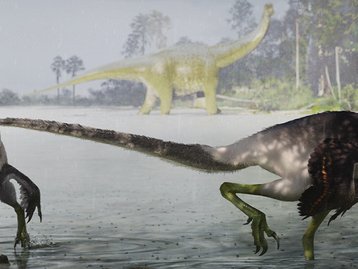 Ypupiara lopai: conheça o dinossauro brasileiro recém descoberto
