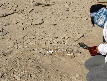 Dois novos dinossauros são descobertos na China por cientistas brasileiros