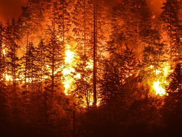 Aquecimento global: Julho de 2021 foi o mês mais quente já registrado