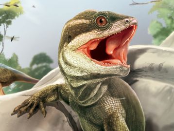 Esqueleto descoberto na Argentina pode revelar origem de cobras e lagartos