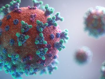 Cientistas cultivam variante delta para infectar pessoas saudáveis; entenda