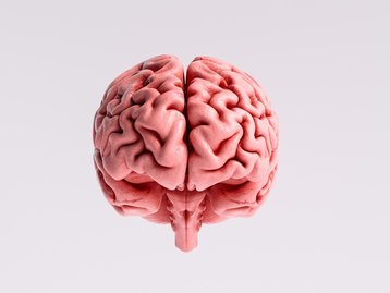 Fundação de Zuckerberg financia pesquisa brasileira em neurociência