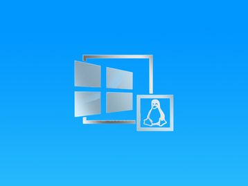 Windowsfx: brasileiros criam 'Windows 11 grátis' baseado em Linux