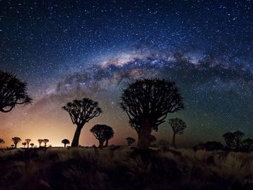 #AstroMiniBR: existem mais árvores do que estrelas na Via Láctea!