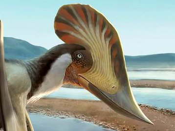 Novo pterossauro brasileiro esclarece a origem dos répteis de asas