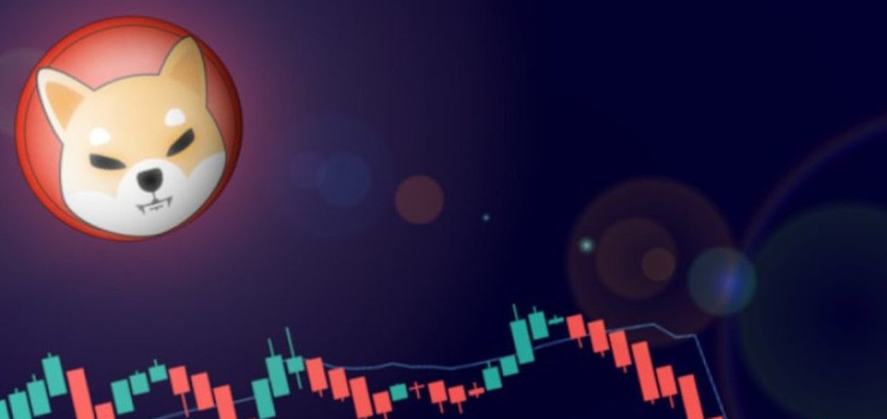 Shiba inu tem alta semanal de 220% após post de Elon Musk