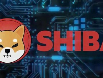 Criptomoeda shiba inu dispara e ultrapassa até a dogecoin