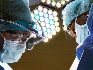 Pesquisadores brasileiros avançam para usar órgãos de porco em humanos