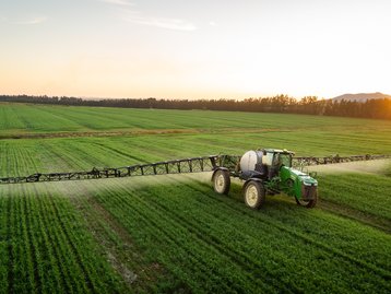 Estudo do governo aponta resíduos irregulares em 11% dos vegetais; entenda