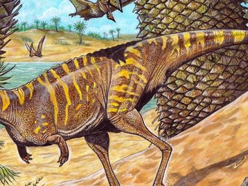 Museu Nacional mostra novo dinossauro brasileiro com bico e sem dentes