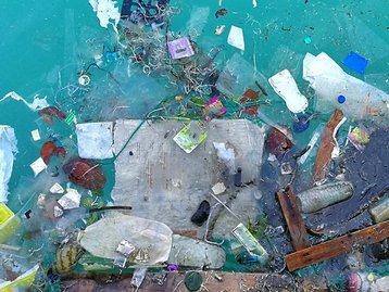 Estudo mostra que microplásticos podem prejudicar células humanas