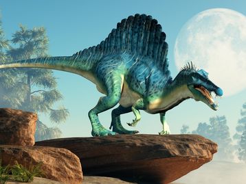 Fóssil de dinossauro dentro de ovo é encontrado; veja imagens