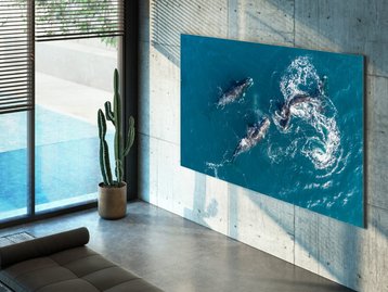 Samsung anuncia novas TVs Neo QLED e MicroLED na CES 2022