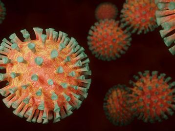 H3N2: o que é, sintomas, prevenção e tratamento da nova gripe 