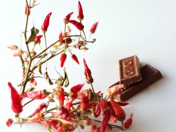 11 alimentos afrodisíacos para ajudar a despertar sua libido