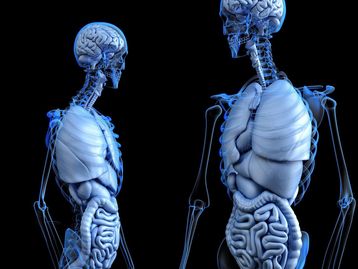 Doença de Crohn: entenda o que é e quais são os sintomas