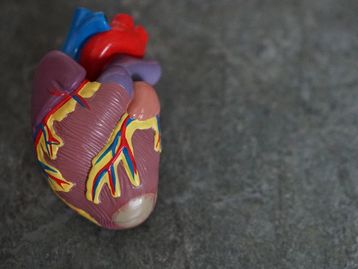 Infarto: veja quais são os sintomas e como identificar