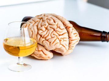Duas cervejas por dia podem encolher o cérebro e acelerar envelhecimento