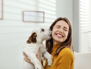 Contato com cães pode amenizar dor e ansiedade de pacientes de emergência 