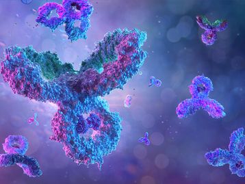NanoCar Race: conheça a corrida dos menores carros do mundo