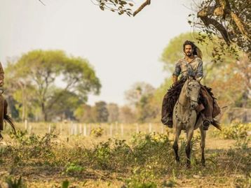 Pantanal: Novela estreia no Globoplay com 8K nas TVs Samsung