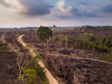 Amazônia tem desmatamento recorde no primeiro trimestre de 2022