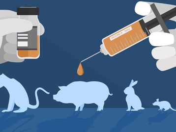 Por que algumas marcas ainda testam produtos em animais?