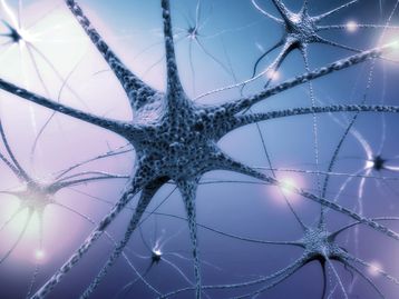 Cientistas criam neurônios sintéticos pela primeira vez