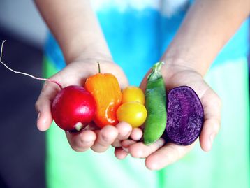 Vegetarianismo: conheça as diferentes dietas que valorizam as plantas