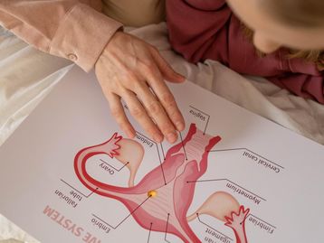 Quais são os sintomas da endometriose e como é o tratamento da doença?