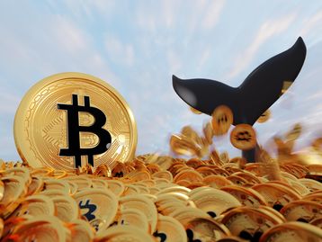 El Salvador perde 28% do valor do bitcoin após recentes quedas