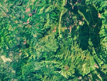 Nvidia e ONU lançam parceria para monitorar desastres climáticos