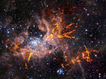 Nebulosa da Tarantula: uma região de violenta formação estelar
