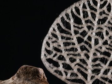 Novo plástico tipo PET é feito com partes não comestíveis de plantas