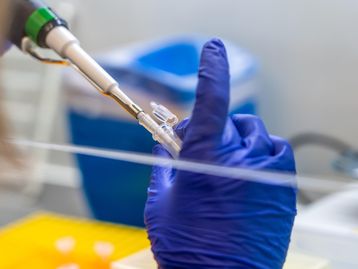 Testes de PCR para detectar varíola de macacos chegam ao Brasil