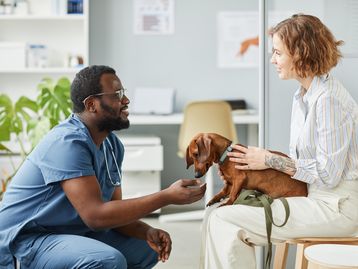 Plano de saúde para pets: veja como funciona e quais são as vantagens