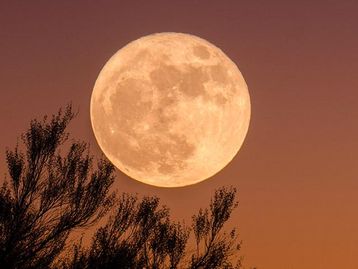 Não perca a última superlua do ano na quinta-feira (11)