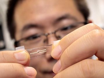 Cientistas criam computador flexível que gruda na pele para coletar dados