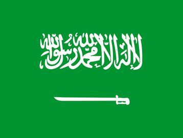 Arábia Saudita condena mulher a 34 anos de cadeia por usar Twitter