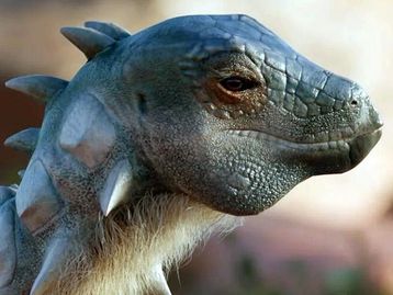 Descoberto primeiro dinossauro bípede com armadura da América do Sul