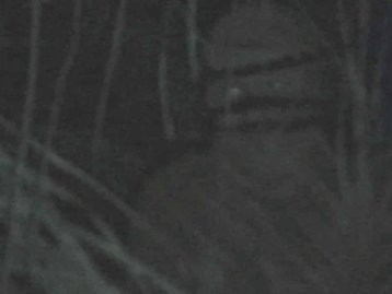 ET Bilu: por onde anda Urandir, o criador do extraterrestre fake