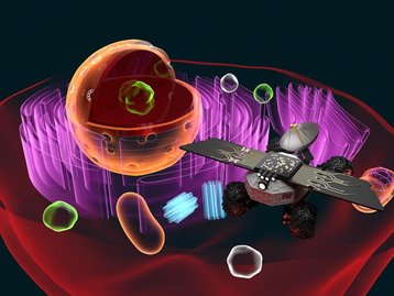 Cientistas desenvolvem 'carrinho' que viaja dentro de células humanas