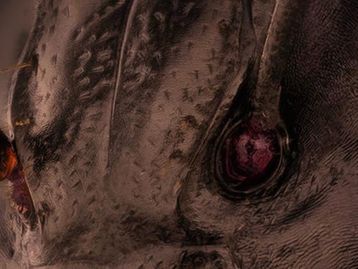 Foto de rosto de formiga é destaque em concurso e impressiona por detalhes