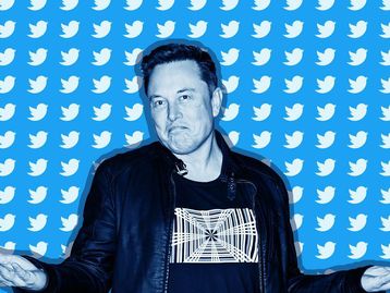 Twitter pode cobrar R$ 106 pelo selo azul de verificação