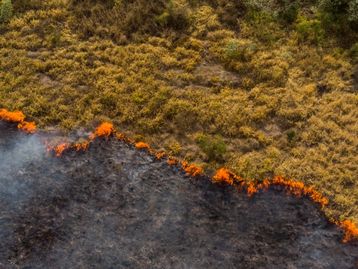 Incêndios florestais no Brasil sobem 80% em 2022, diz levantamento
