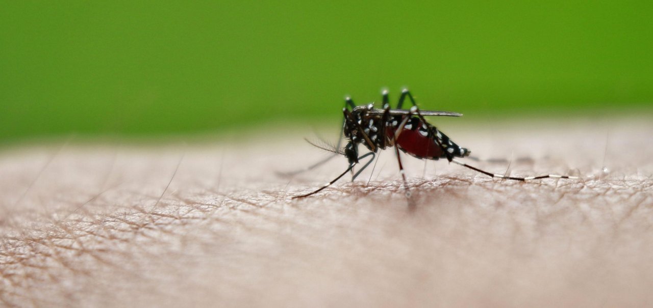 Dengue volta a crescer no Brasil e registra 951 mortes em 2022