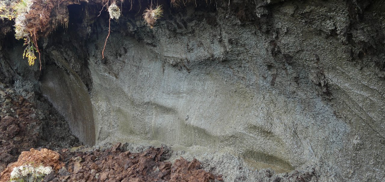 Cientistas reativam vírus de 48,5 mil anos encontrado na Sibéria