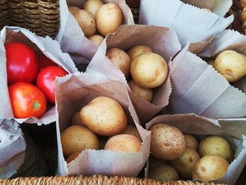 Cientistas pesquisam compostos de tomate e batata para tratamento de câncer